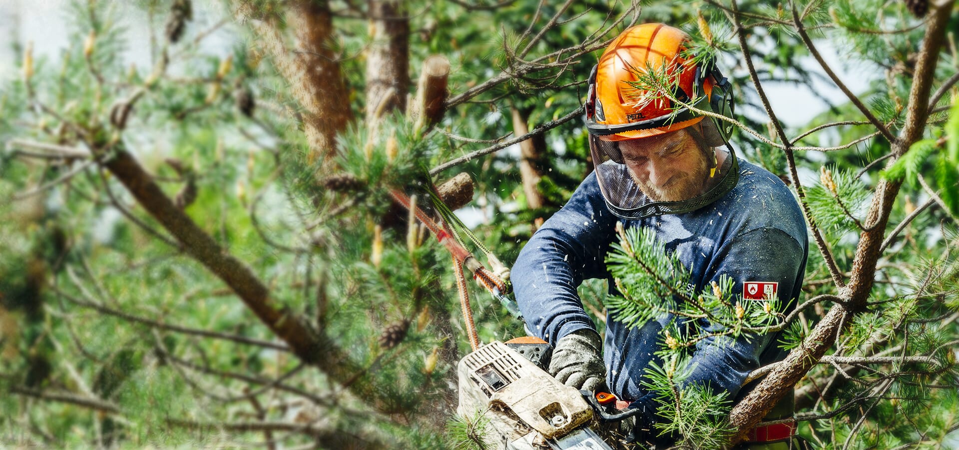 Top 5 Alabama Billboard Companies for Tree Service